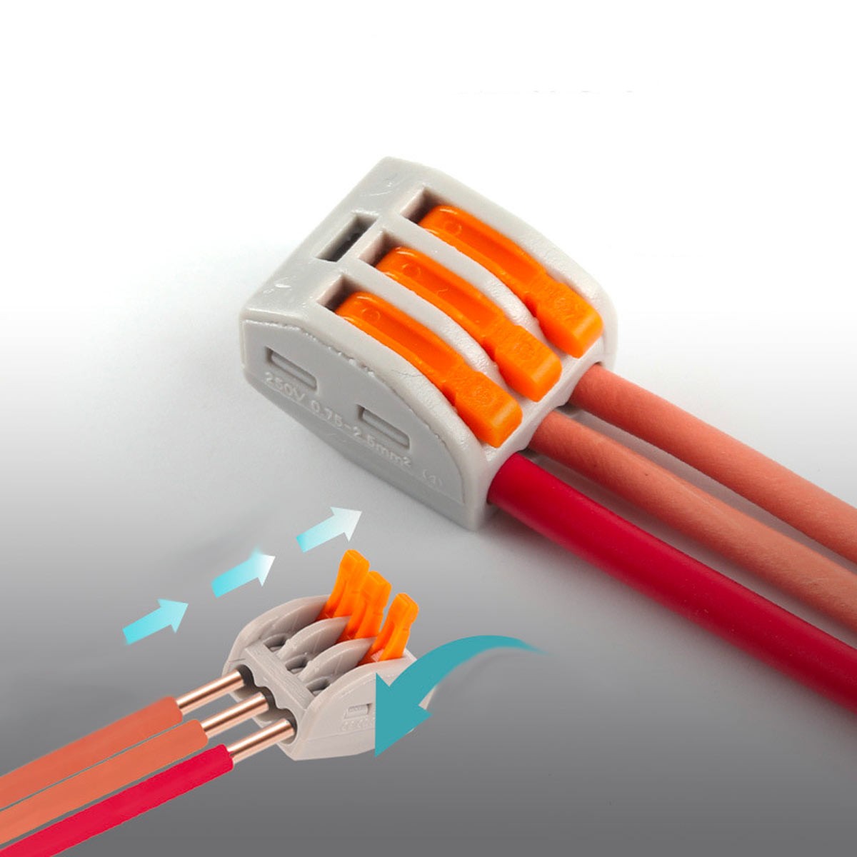 6f7e212b6d4ad21035e8aeb3021e16e7